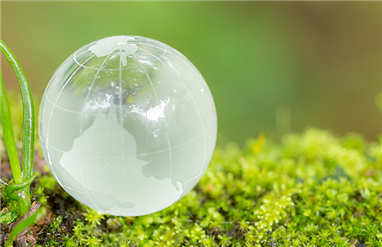 Seminar on Green Consensus and Its Effects on Industry was Organised